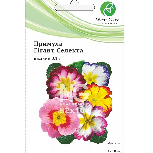 Примула (первоцвіт) Гігант Селекта WestGard Житомир