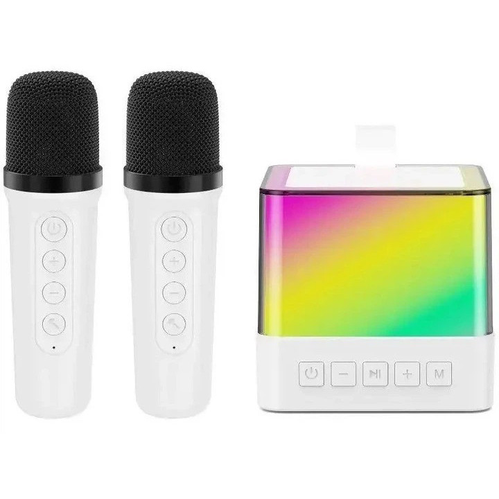 Портативна караоке система з двома мікрофонами Bluetooth акустична колонка для дому та вечірок White EO-40 Івано-Франківськ - фото 2