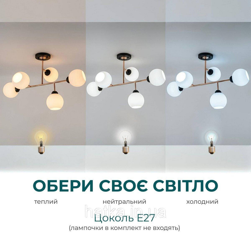 L0006-5 BK+FGD Київ - фото 3