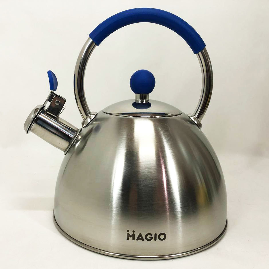 Функціональний чайник зі сталі зі свистком, Чайник газовий нержавіюча сталь Гарний для плит LP-97 Львів - фото 2