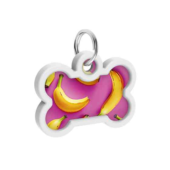 Адресник для собак и кошек металлический WAUDOG Smart ID с QR паспортом, рисунок 