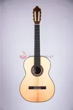 Гітара Duke Student BT Киев - изображение 1