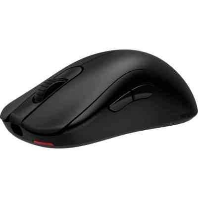 Мишка Zowie ZA13DW USB/Wireless Black (9H.N4RBE.A2E) Вінниця