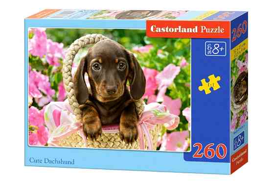 Пазлы Castorland 260, шт Киев