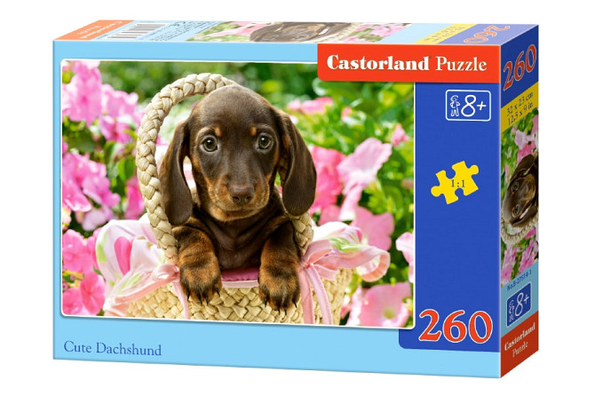 Пазлы Castorland 260, шт Киев - изображение 1