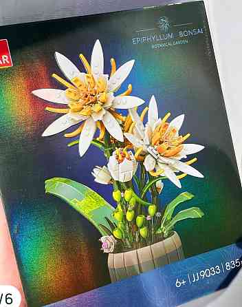 Конструктор по   квітка бонсай. Харків