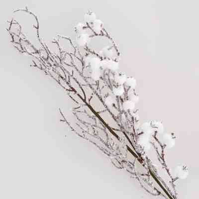 Декоративна гілка YES! Fun засніжена з ягодами, 23 см (973251) Вінниця