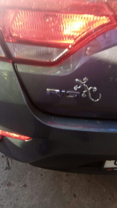 Наклейка Пластиковая Ящерица Золото Киев - изображение 5