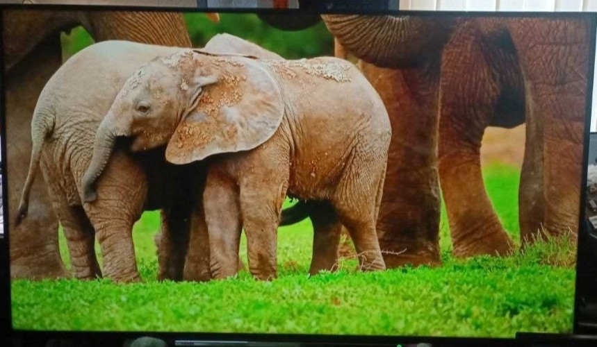 Телевизор Безрамный: 65