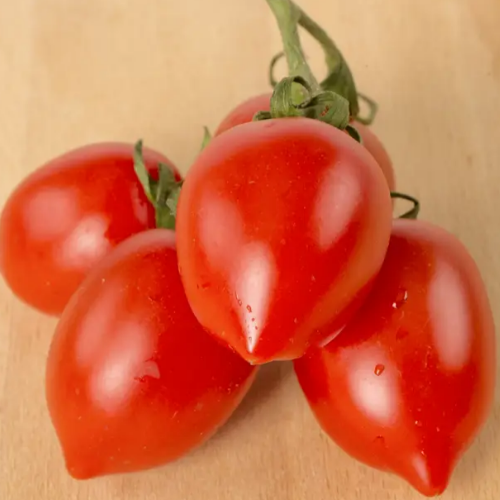 Томат Олівія F1 кущовий 10шт Професійне насіння Житомир - фото 2