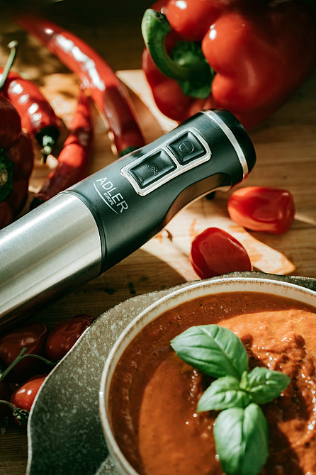 Блендер Adler AD 4628 ручний/ 1500Вт/ 1 швидк./ без чаші/ Turbo/ Ice Crush/ чорний Вінниця - фото 3