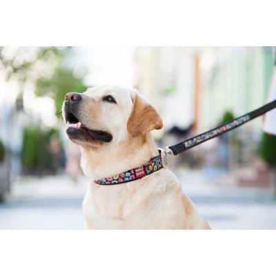 Нашийник для тварин WAUDOG Design з QR паспортом "Пончики" Ш 25 мм Д 38-49 см чорний (37131) Вінниця - фото 5