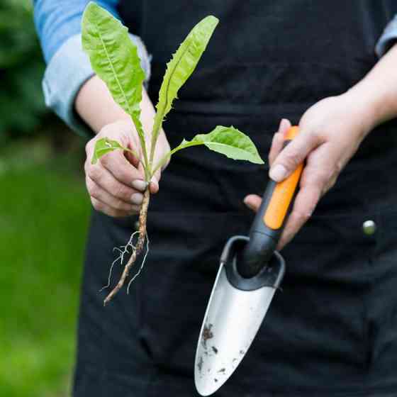 Садовый Совок для рассады Fiskars 