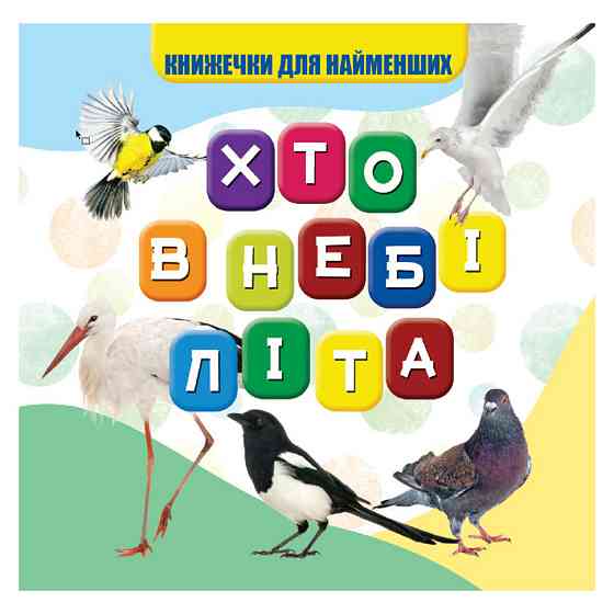 Моя первая книжечка Кто в небе летает VR06041708, 10 страниц Винница
