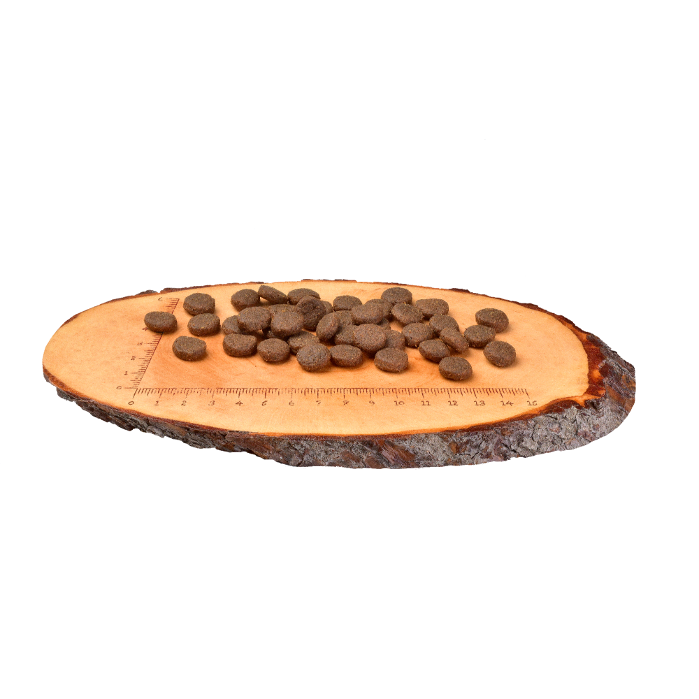 Сухий корм Carnilove Salmon & Turkey для цуценят та молодих собак великих порід, лосось та індичка, 12 кг Винница - изображение 3