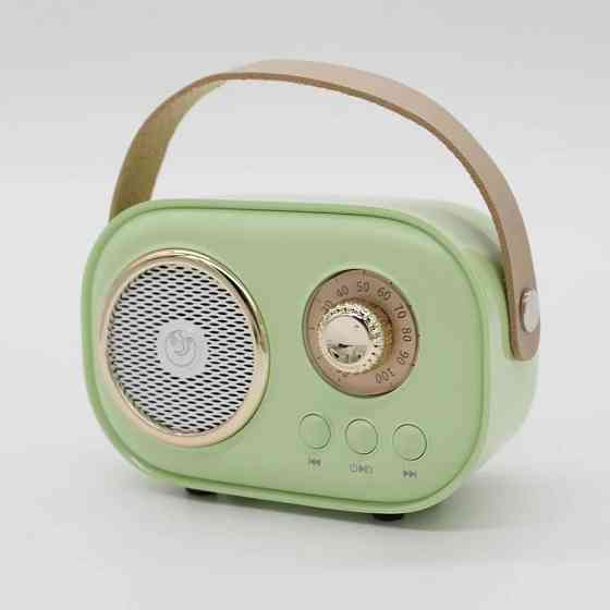 Колонка для караоке з мікрофоном на акумуляторі, Зелений / Блютуз колонка з мікрофоном / Караоке колонка Київ