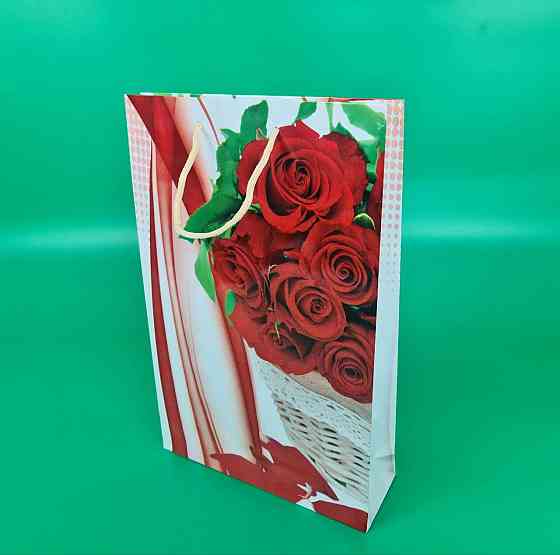 Великий паперовий пакет вертикальний 25/37/8 (артBV-178) (12 шт.) Харків