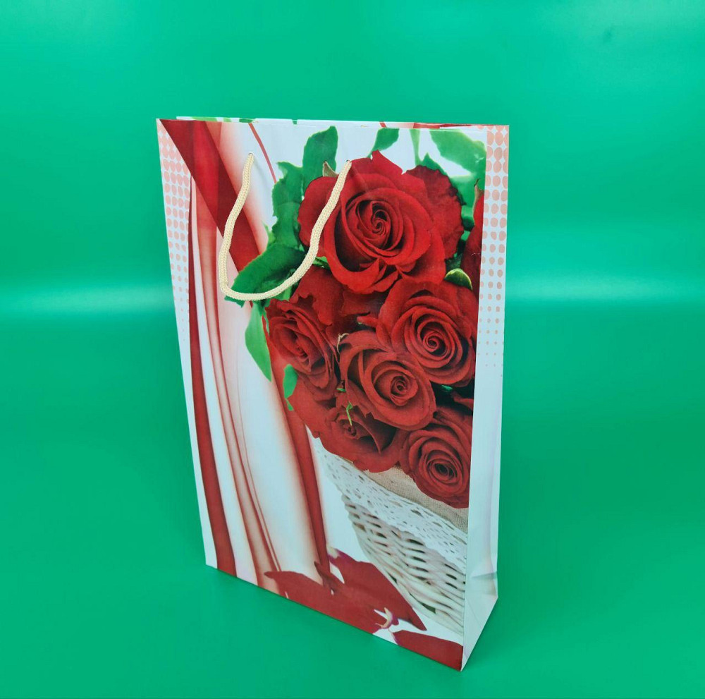 Большой бумажный пакет вертикальный  25/37/8(артBV-178) (12 шт) Харьков - изображение 1