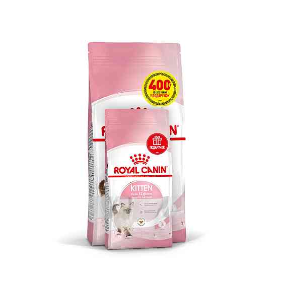 Корм для кошенят ROYAL CANIN KITTEN 2кг + 400 г у подарунок Киев