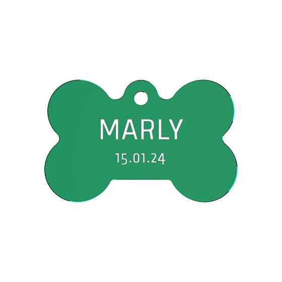 Адресник для собаки Green 30x20мм Київ