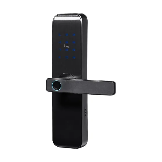 Замок біометричний автономний Trinix TRL-7703WF Black L/R з Bluetooth, зчитувачем відбитків пальців і карт Mifare (65-00082) Киев