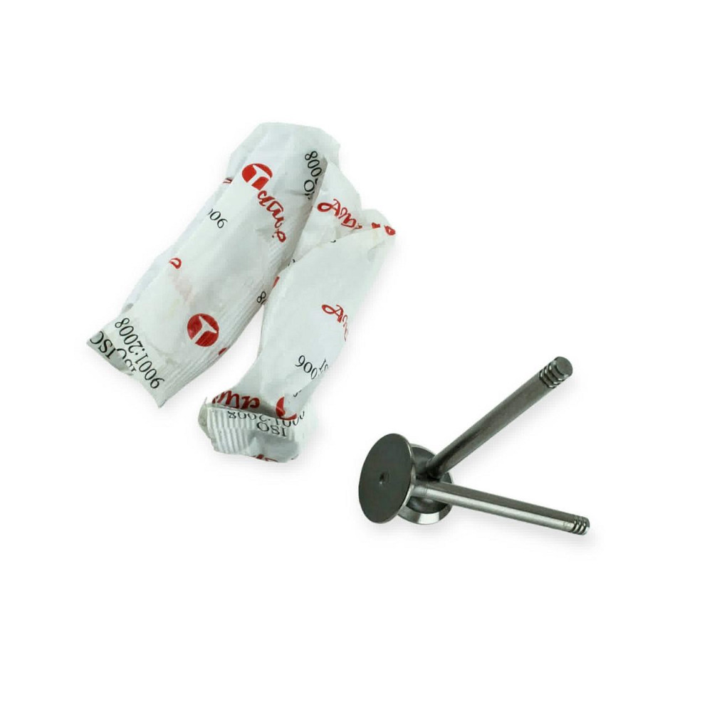 Клапана AMP впуск (v-1,3) PLAD003 Азот 2108 Мукачево - фото 1