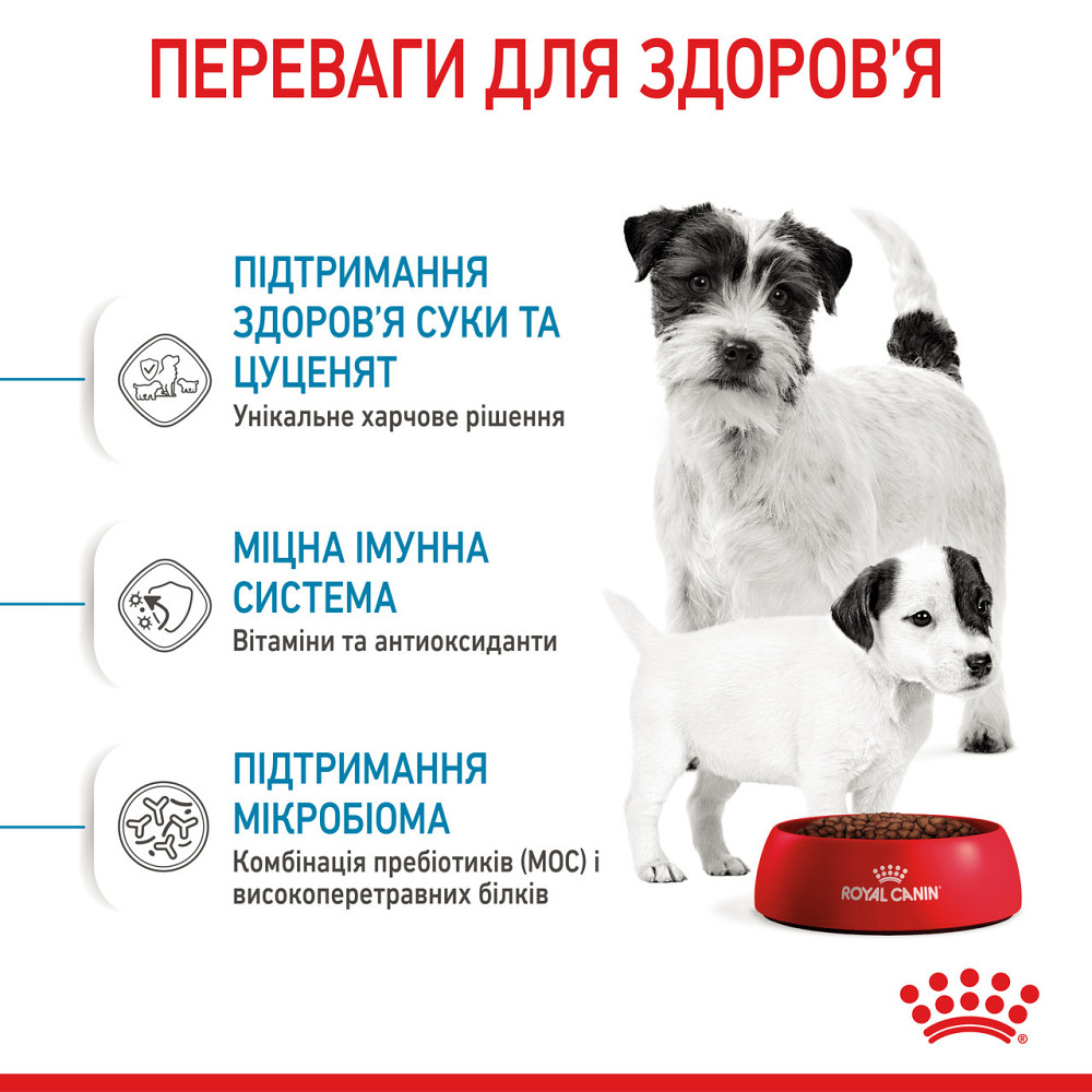 Cухий корм для новонароджених цуценят мініютюрних порід ROYAL CANIN MINI STARTER 1 кг Київ - фото 4