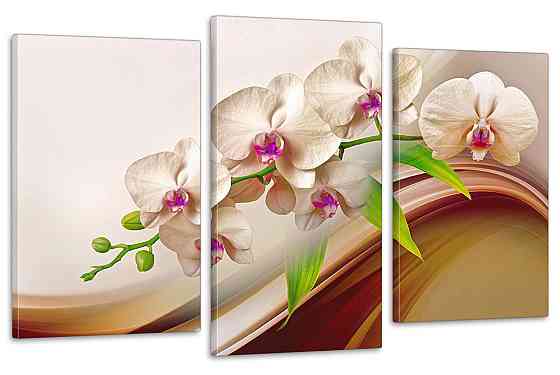 Модульная картина в гостиную / спальню  Орхідея  Art-682_3 Киев