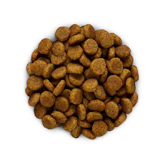 Hills Prescription Diet Canine Derm Defense (Хиллс ПД Канин Дерм Дефенс) для собак защита кожи от аллергенов Запорожье