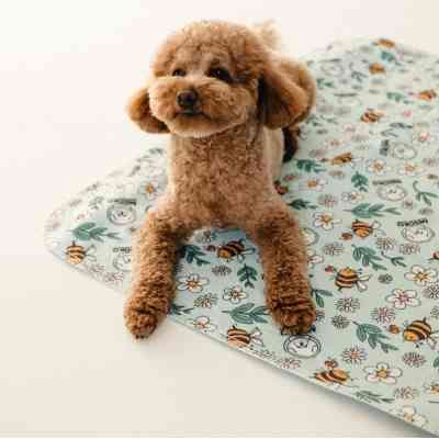 Пелюшки для собак MISOKO&amp;CO Багаторазова з бджолами 40х50 см 1 шт блакитна (HAINMSK70029) Вінниця