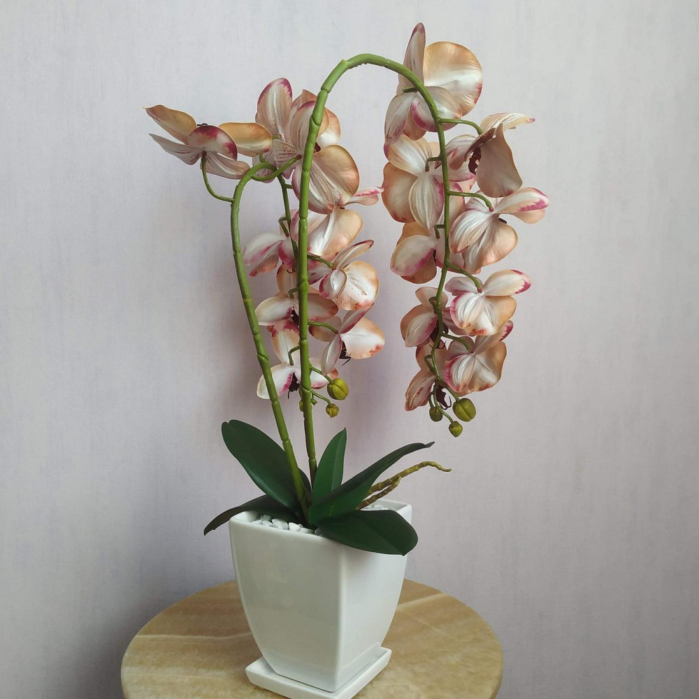 Штучна латексна орхідея VIP у білому керамічному кашпо на дві гілки кремово-бордова. Дніпро - фото 5