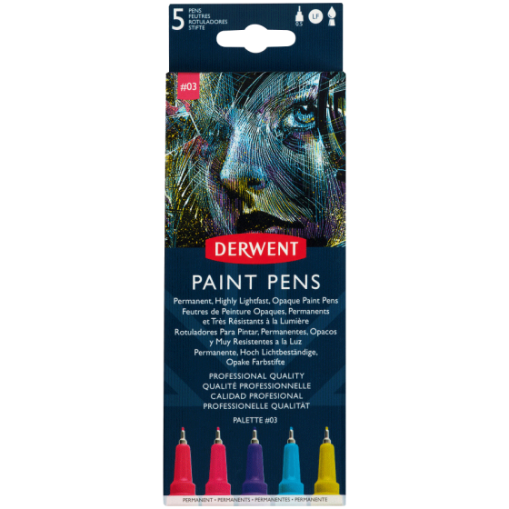 Набор цветных ручек PAINT PEN PALETTE No3 5шт Derwent Киев
