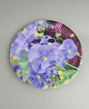 Тарілка паперова 23 см "No62 10 шт (1 пачка) Харків