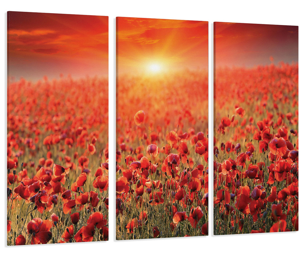 Модульная картина Маки Рассвет Art-65_XXL 53x100 см Киев - изображение 1