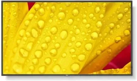 Монитор Nec MultiSync ME501 Киев - изображение 1