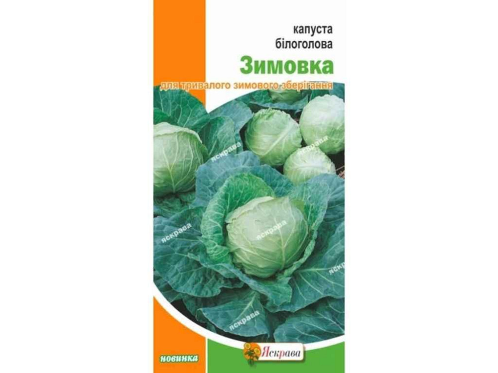 Капуста білокачанна Зимовка (20 пачок) 0,5г ТМ ЯСКРАВА Київ - фото 1