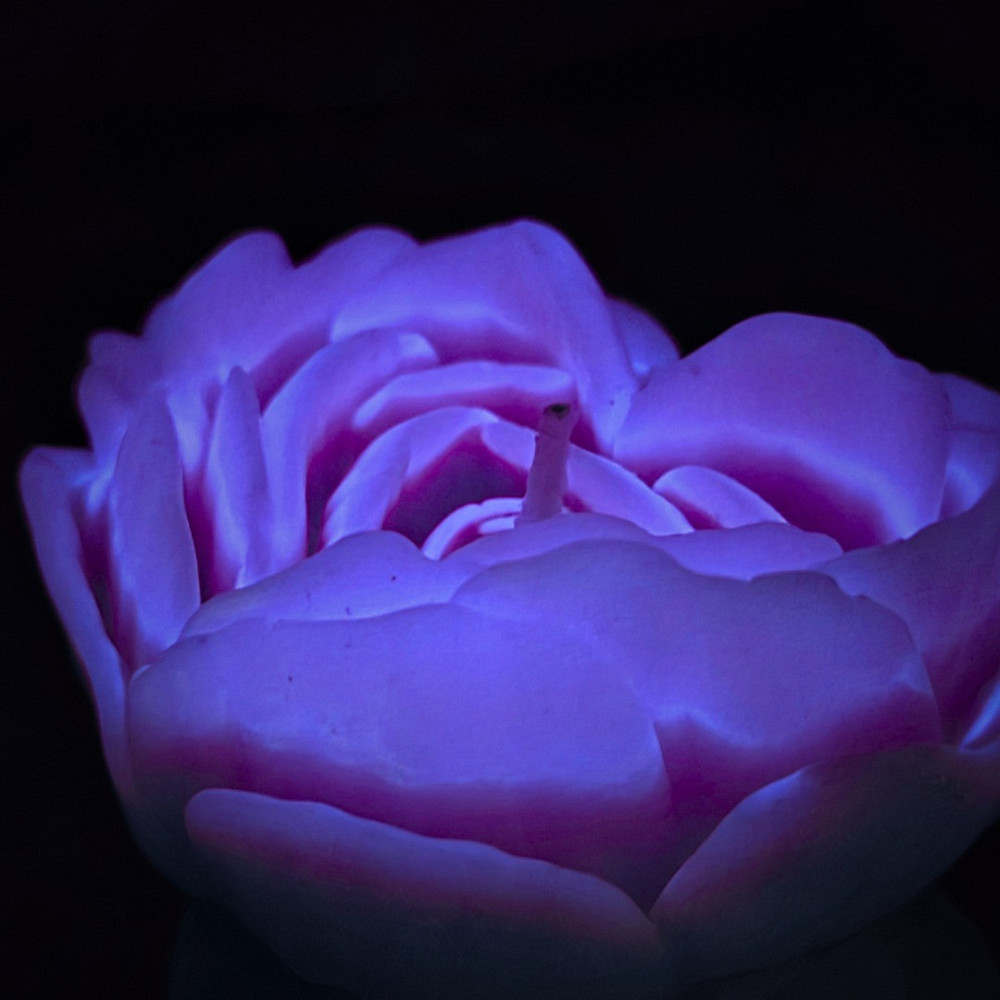 Свеча люминисцентная низкотемпературная GlowKink фиолетовая, М Sex Aura Киев - изображение 3