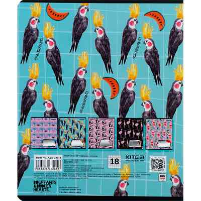 Тетрадь Kite BBH 18 листов, клетка (K24-236-1) Винница