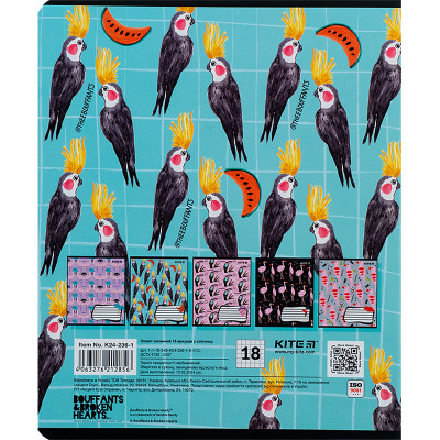 Тетрадь Kite BBH 18 листов, клетка (K24-236-1) Винница - изображение 3