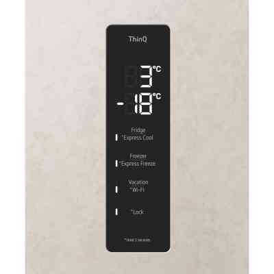 Холодильник LG GC-B509FEPW Винница