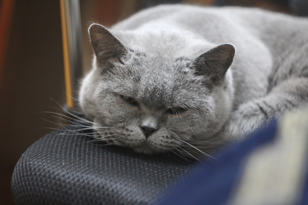 Професійний фотоапарат Canon EOS 650D Дзеркалка.Комплект. Б/У Київ - фото 8