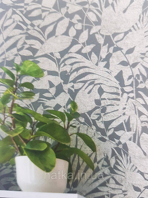 Шпалери вінілові на флізеліні AS creation The Bos 0.53х10 листя папороті монстери банана срібло на сірому Київ - фото 1