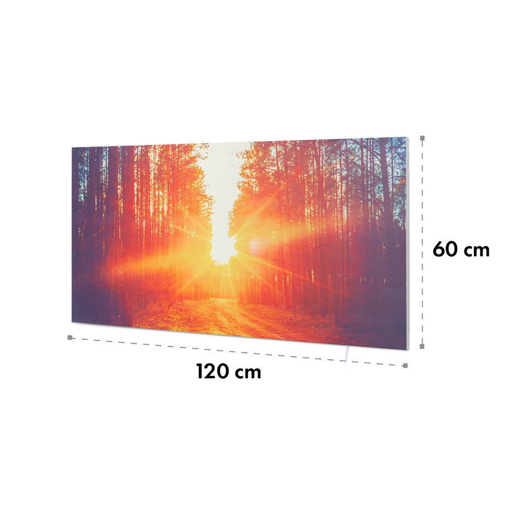 Инфракрасный обогреватель Wonderwall Air Art Infinite 720 120x60 см 120 x 60 см / 720 Вт (Германия, читать Ровно - изображение 10