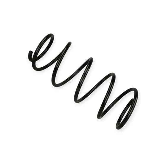 Пружина Fiat Panda 03-передня Мукачево