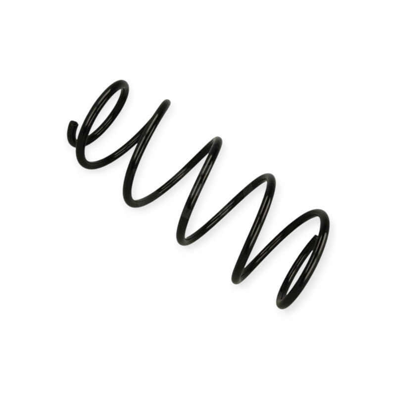 Пружина Fiat Panda 03- передняя Мукачево - изображение 1