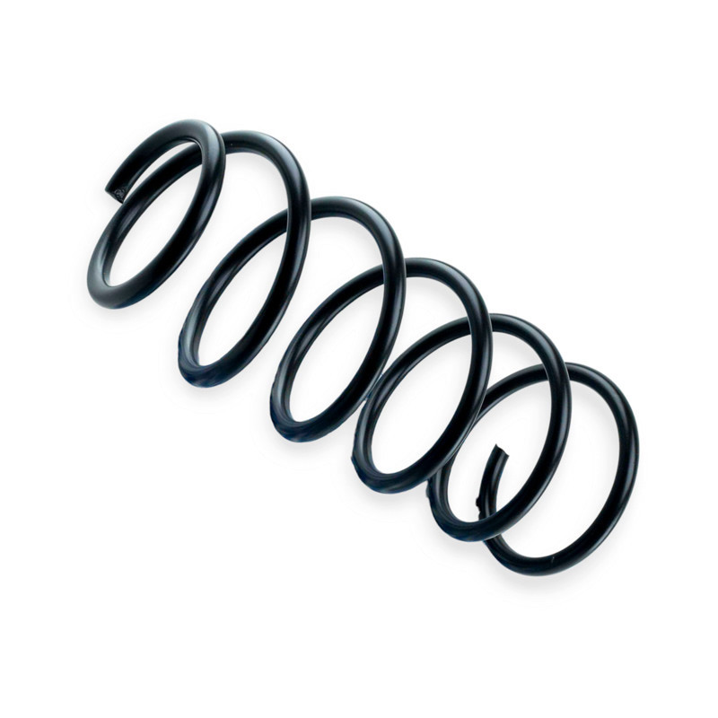 Пружина Авео (AT) передня Мукачево - фото 1