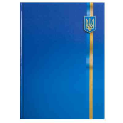 Канцелярская книга Buromax А4 UKRAINE, 96 листов, клетка (BM.2400-38) Винница