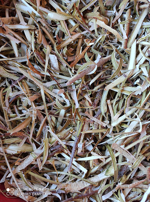 Кора осины, 100г master sem Киев - изображение 1