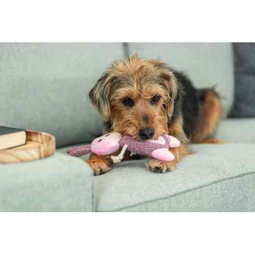 Іграшка Trixie для собак Заяєць тканина і плюш 24 см Київ