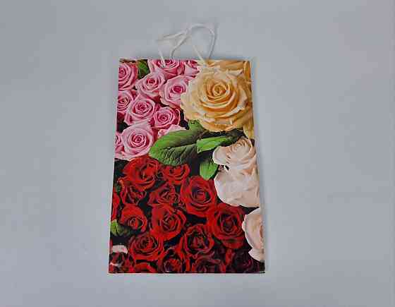 Великий паперовий пакет вертикальний 25/37/8 (артBV-005) (12 шт.) Харків